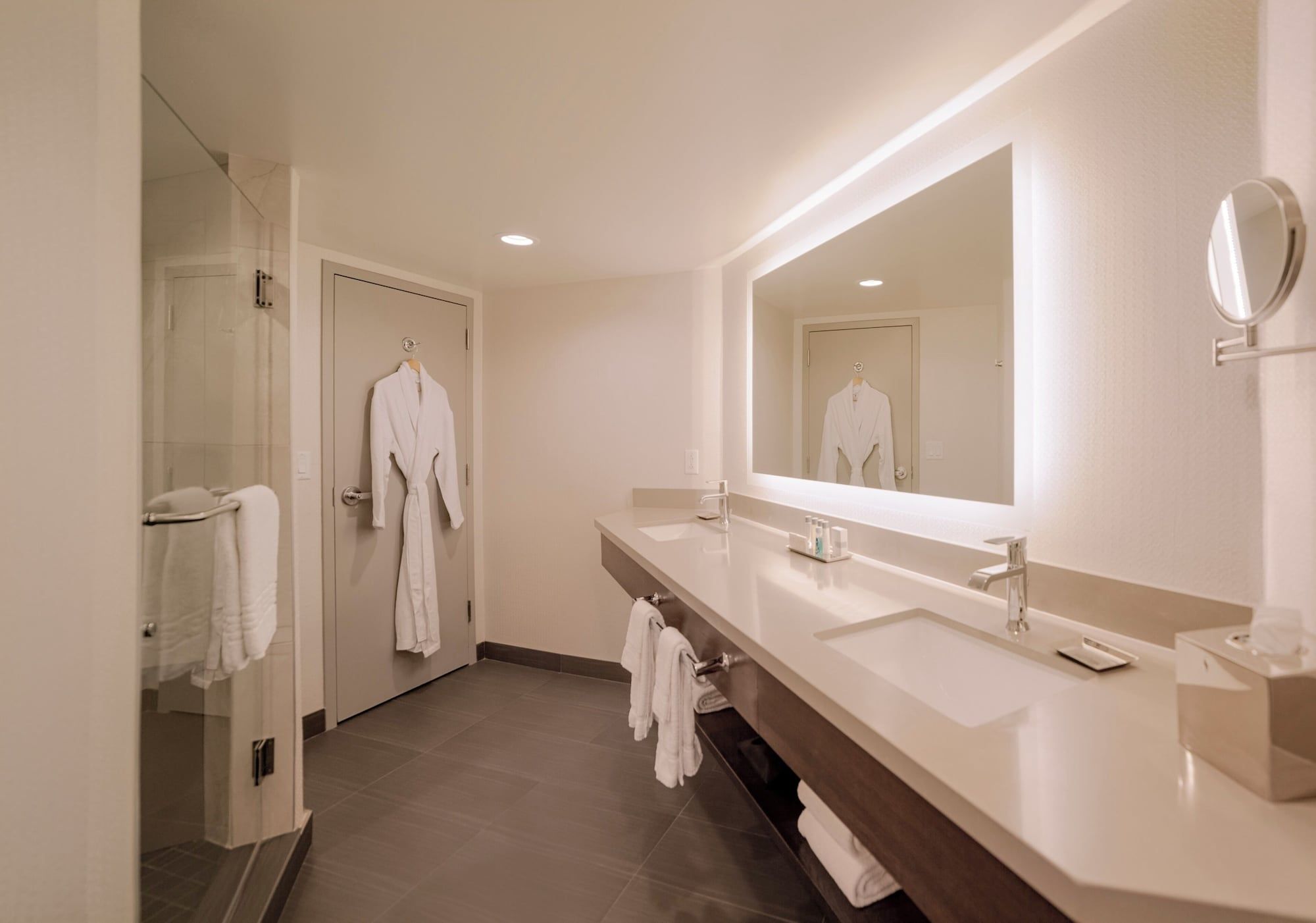 Bathroom view of Silver Legacy Resort Casino At The Row