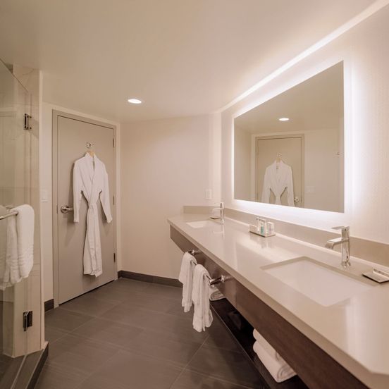 Bathroom view of Silver Legacy Resort Casino At The Row