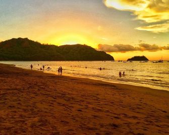 Two King Suites - Ocean Views - Private Pool - Playa Matapalo - Playa