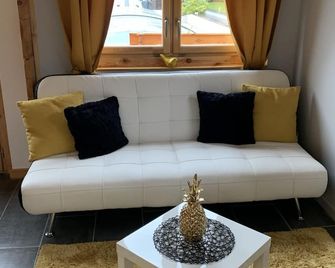 Chalet 2 personnes avec jacuzzi privatif et piscine saisonnière partagée - Corcieux - Salon