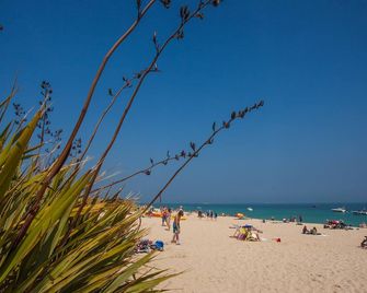 Driftwood Inn - Saint Saviour - Playa