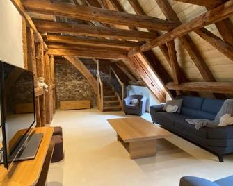 Maison De Charme En Alsace - In Vino Veritas - 12 Personnes - Gueberschwihr - Sala de estar
