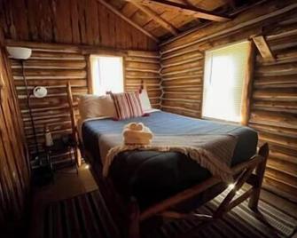 Rustic Lodge - Cabin #2 - Prudenville - Habitación