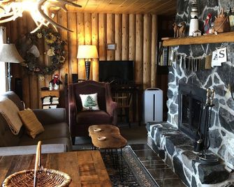 Classic Vintage Log Cabin on Lake Superior - Two Harbors - Sala de estar