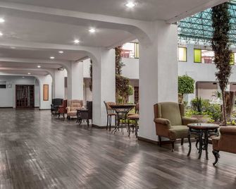 Radisson Hotel & Convention Center Toluca - טולוקה - לובי
