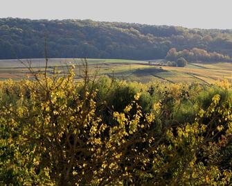 Gite L'Eloge des bulles in Champagne with swimming pool - Reuil - Vista del exterior