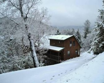 Hot tub and pool table- perfect 2 BR log cabin! - Pigeon Forge - Vista del exterior