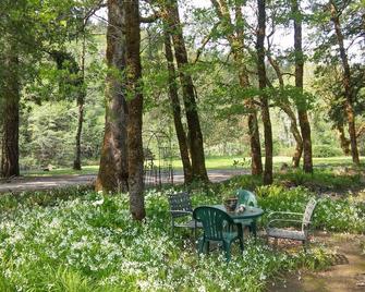 The Chetco River Inn Cottage-Private River Frontage, 36 Acres-Relax, Swim, Fish - Brookings - Patio