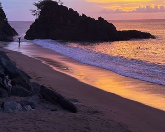 Birdie's Nest - Black Rock - Beach