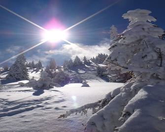 Ski-in, Ski-out by Apartment Managers - Kirchberg in Tirol - Property amenity