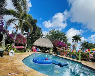 Clothes optional Tranquil Private room Paradise. In Fort Lauderdale. - Wilton Manors - Pool