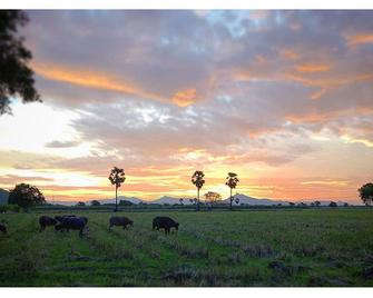 Wanlapa Farmstay - Lopburi - Gebäude