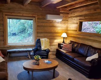 NC cabin for rent - Sanctuary at Big Pine - Marshall - Sala de estar