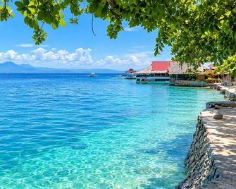 D' Gecko Hotel - Moalboal - Beach