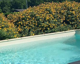 Maison 3 étoiles avec piscine et jacuzzi extérieur près de Sarlat - Sainte-Nathalène - Pool