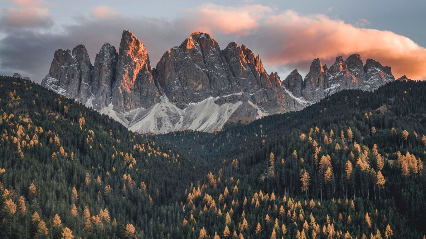 Forestis Dolomites