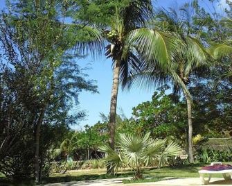 Pousada do Gostoso - סאו מיגל דו גוסטוסו - בריכה