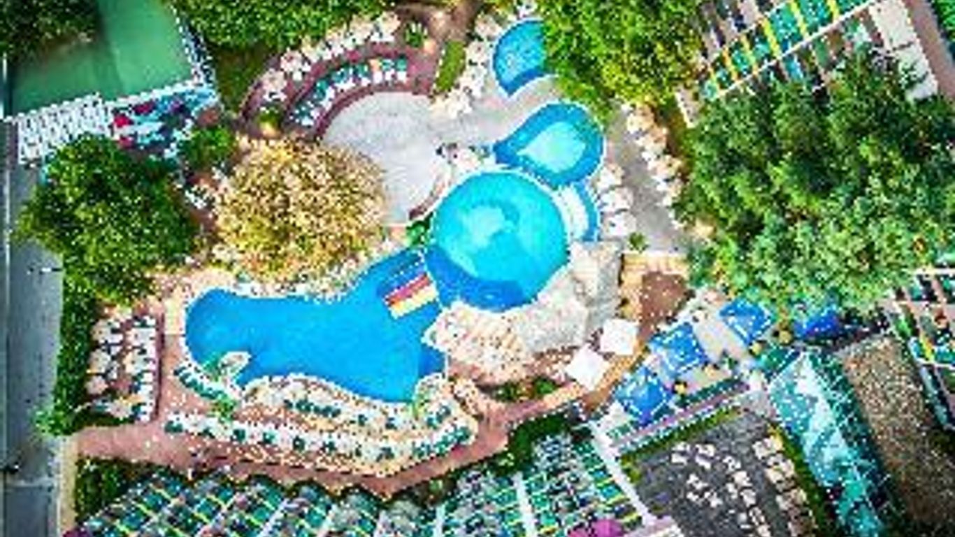 Mimosa Sunshine Hotel Cooee