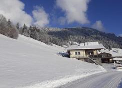 Apartment Schilcher - Wildschönau - Outdoor view