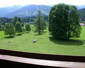 Double room with shower or bath, WC - Sonnwendhof - Ramsau am Dachstein - Balcón