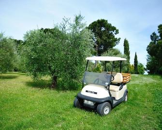 Agriturismo al Colle - Bertinoro - Terasa