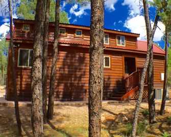 Sweet, Impeccable Cabin In The Pines ! Hiking, Lakes! - Show Low - Building