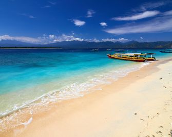 Turtle Garden Hotel - Pemenang - Strand