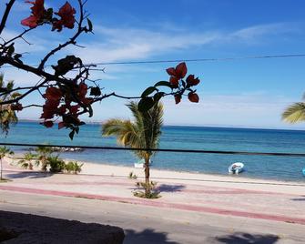 Posada de las Flores La Paz - La Paz - Playa