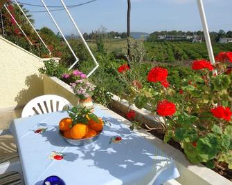 Christina apartment, fabulous sea view, minutes from the beach. - Náfplio - Patio