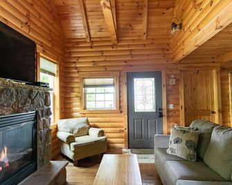 Luxury Cabin with Hot Tub, Kitchen, Living Room, Fireplace - Sleeps up to 4 - Millersburg - Living room