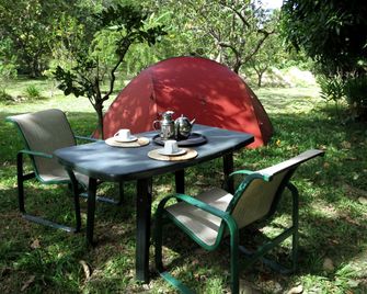 Tropical Cottage Rentals near Soufriere Bay on Island of Dominica - Soufrière - Innenhof