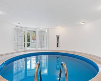 Black Dragon Haven Luxury Villa with Pool, Sauna & Jacuzzi - פראג - בריכה