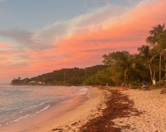 The Cove Hotel St.Croix - Christiansted - Playa