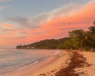 The Cove Hotel St.Croix - Christiansted - Spiaggia