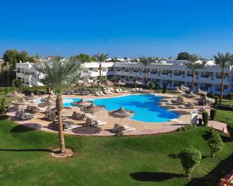 Viva Sharm - Sharm El Sheikh - Svømmebasseng