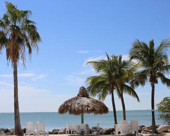 Gilbert's Resort - Key Largo - Bãi biển