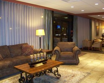 Norfolk Country Inn & Suites - Norfolk - Salónek