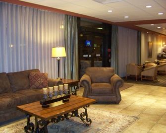 Norfolk Country Inn & Suites - Norfolk - Salónek