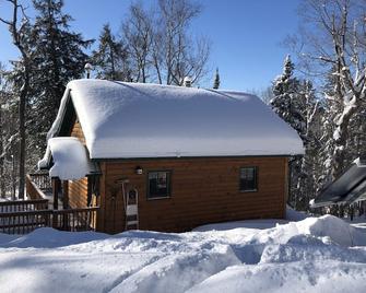 Cozy and remote off-grid Cabin - find peace, relax, enjoy nature. - Port Loring - Building