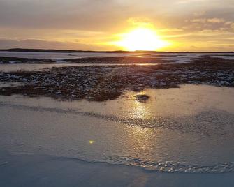 Höfn Guesthouse - Hofn - Beach