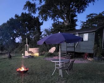 Cosy Off Grid Shepherds Hut with Wood Fired Hot Tub - Cheriton Bishop - Patio