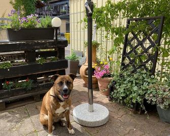 Bungalow in Wernigerode - Wernigerode