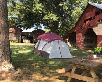 Uwharrie Campingbrmorrow Mountain State Park Viewbrprimitive! - Albemarle - Binnenhof