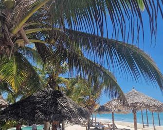 Milele Beach Resort - Pingwe - Strand