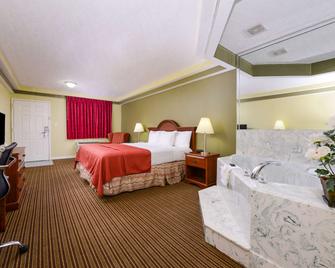 Americas Best Value Inn & Suites Waller/Prairie View - Waller - Bedroom