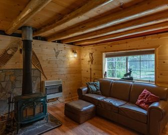 Hooter Hollow - Island Park - Living room