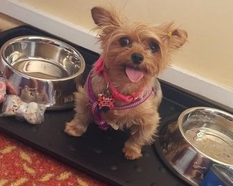 Sandbox Motel - Wildwood - Buffet