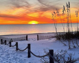 Purple Haze Is 200 Steps To The Beach! 2bd/3ba W/Bonus Bunk Room! - Mexico Beach - Playa