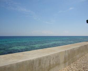 Luzmin BH - Beachfront Cottages - Oslob - Pláž