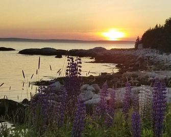 Clifty Cove Motel - Peggy's Cove - Outdoors view